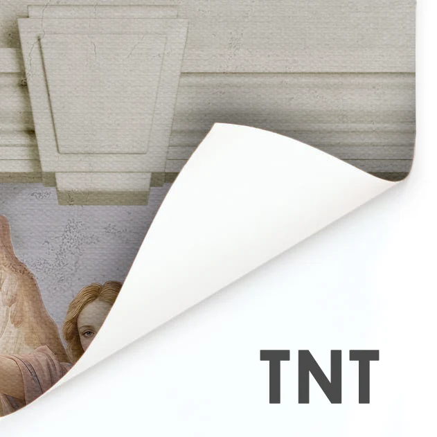 Vinile con supporto TNT